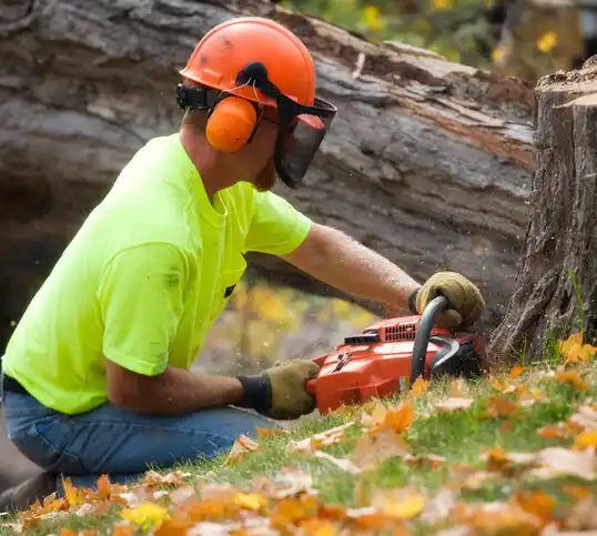 tree services Smithville